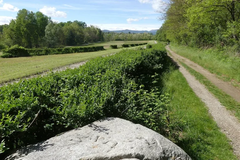 mercurago park