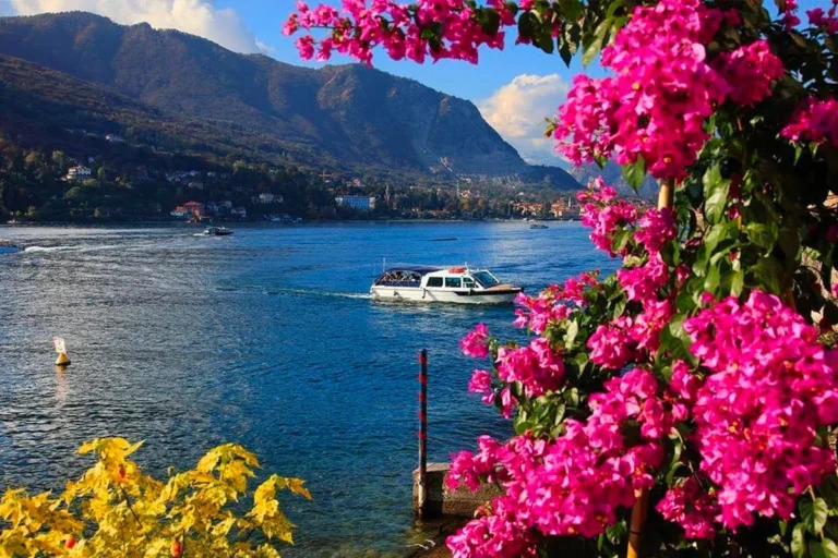 bestboat2